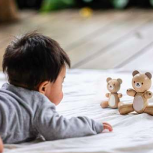 Maman et bebe ours Plan Toys pour les enfants dès 12 mois