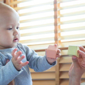 Cubes sensoriels plantoys