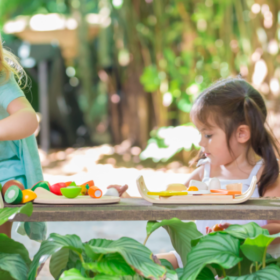 plateau de fruits et légumes plantoys en bois d'hévéa pour les enfants