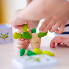 mini jeu du cactus plantoys