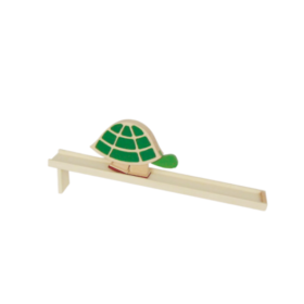 promenade tortue bass