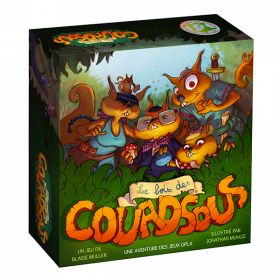 boite de jeu le bois des Couadsous