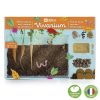 Boite du vivarium pour enfants