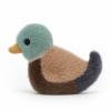 Petit canard colvert de la marque Jellycat de couleur marron sur le dos et le ventre. Sa tête est de couleur verte et son bec est de couleur jaune. Il mesure 10x7cm.