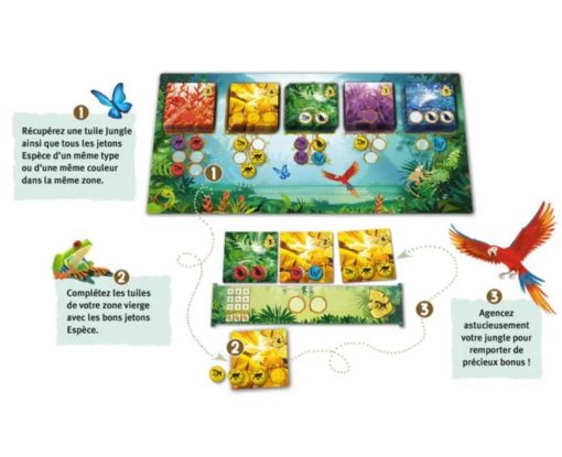 jeu de société rainforest réintroduire des espèces dans la jungle