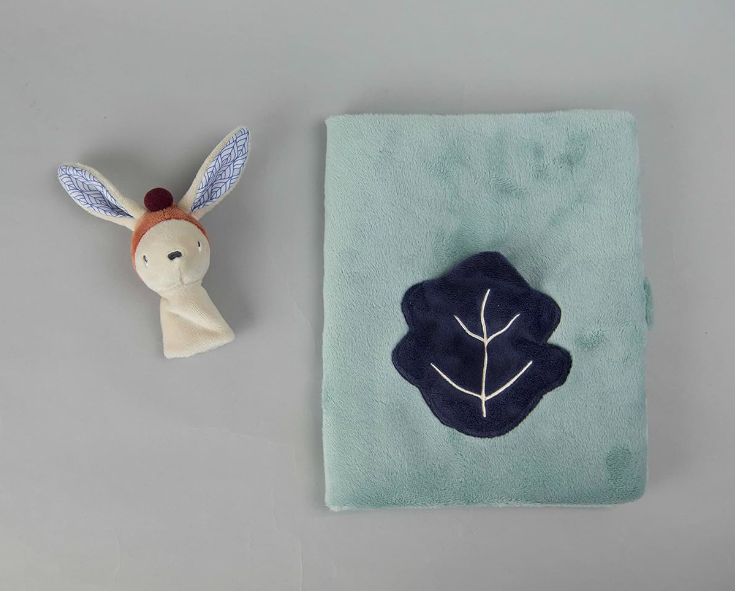 protege carnet de santé gabin lapin ebulobo