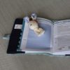 protège carnet de santé Gabin lapin ebulobo